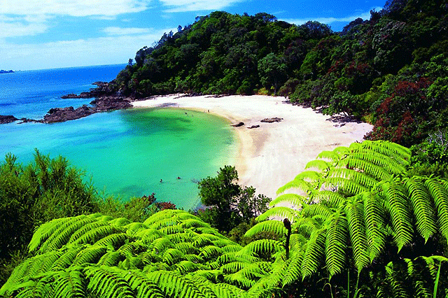 Whangarei Scenic Daytrips