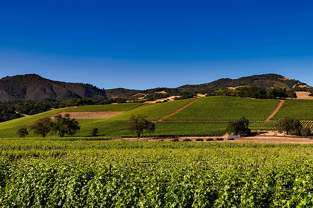 Self-driving Napa and Sonoma