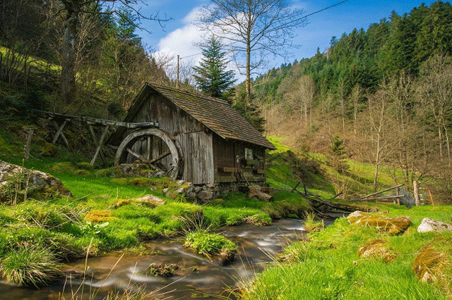 Black Forest by rail