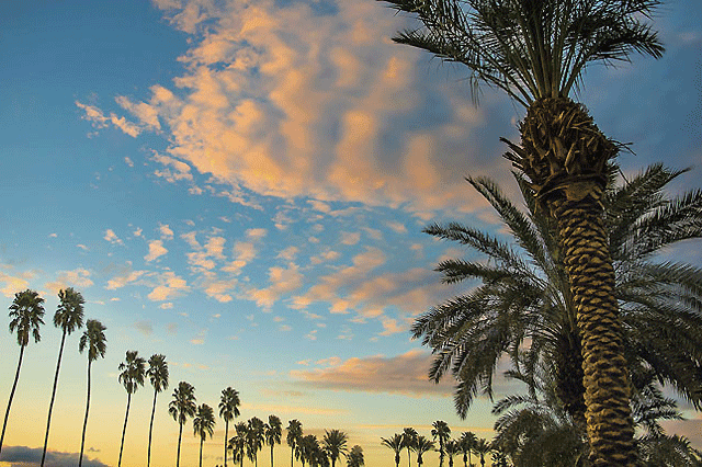 Breezing through Palm Springs