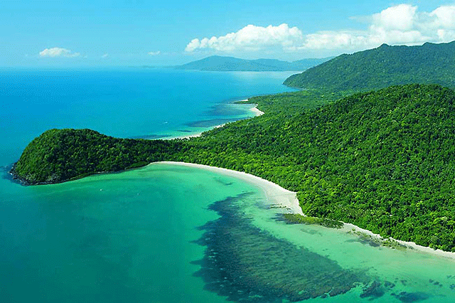 Daintree Discovery