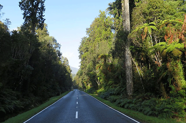 Wild Westland Weekender