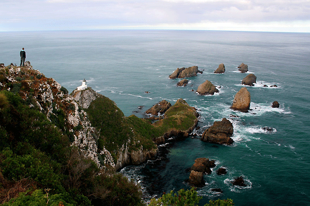 Wild about The Catlins