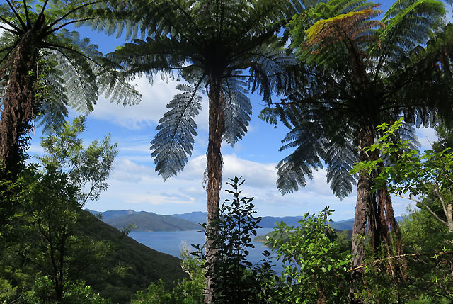 Picton & Queen Charlotte