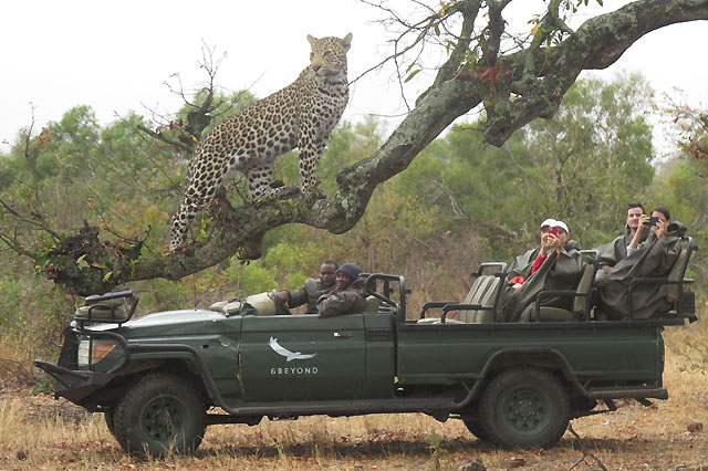 Nurtured by nature at Ngala