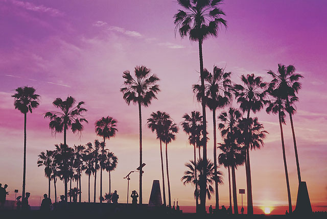 Savour Magic Hour live from LA