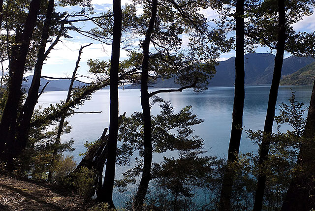 Sounds of silence in Marlborough
