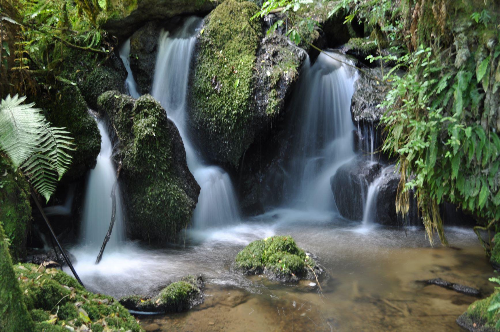 Tales and Trails in Tarawera