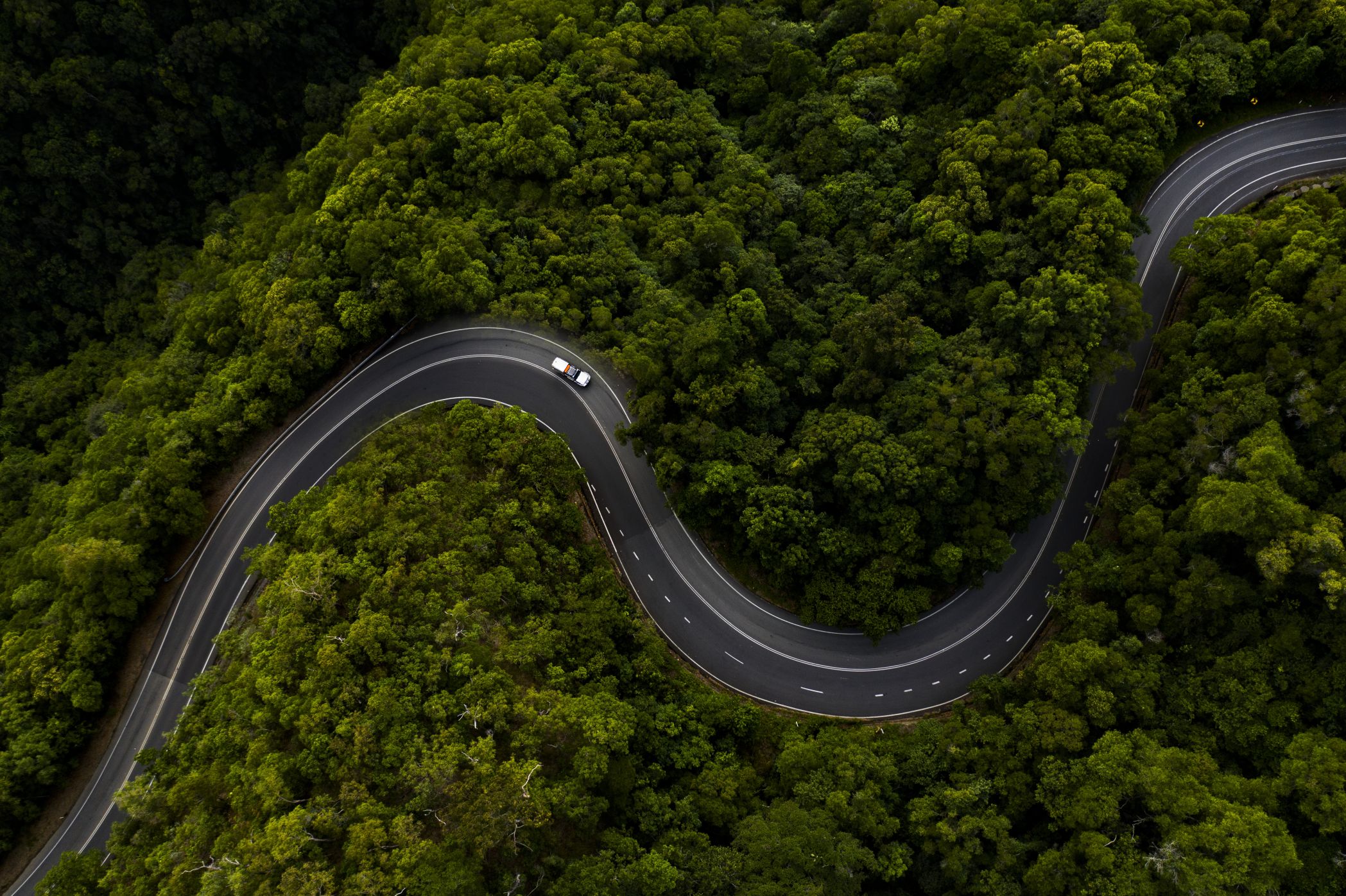 Wild adventures in the Daintree, North Queensland