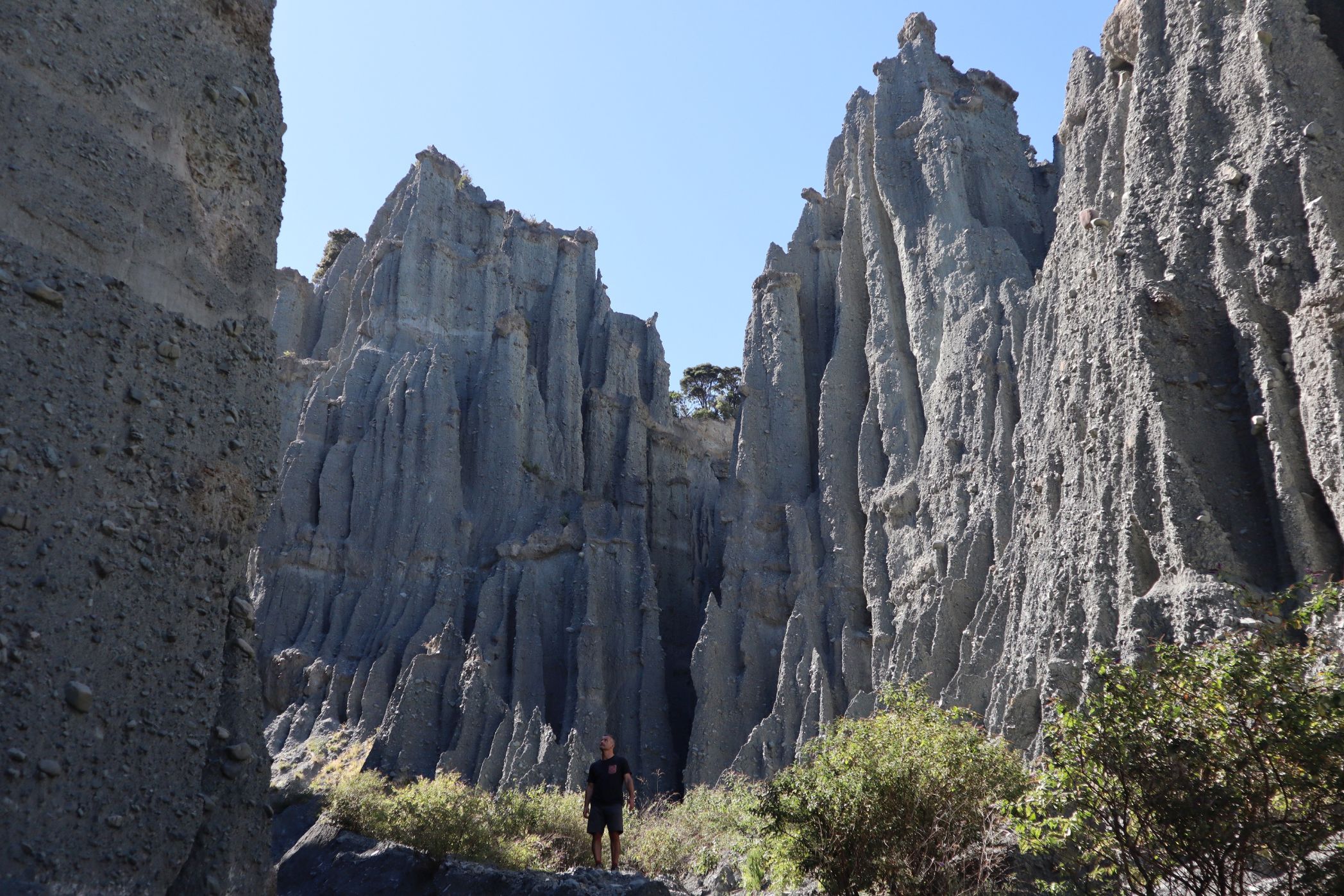Coastal thrills on Palliser Bay