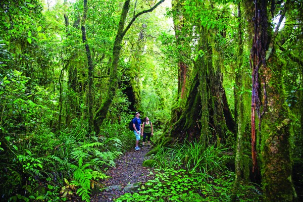 Escape to the Gold Coast Hinterland