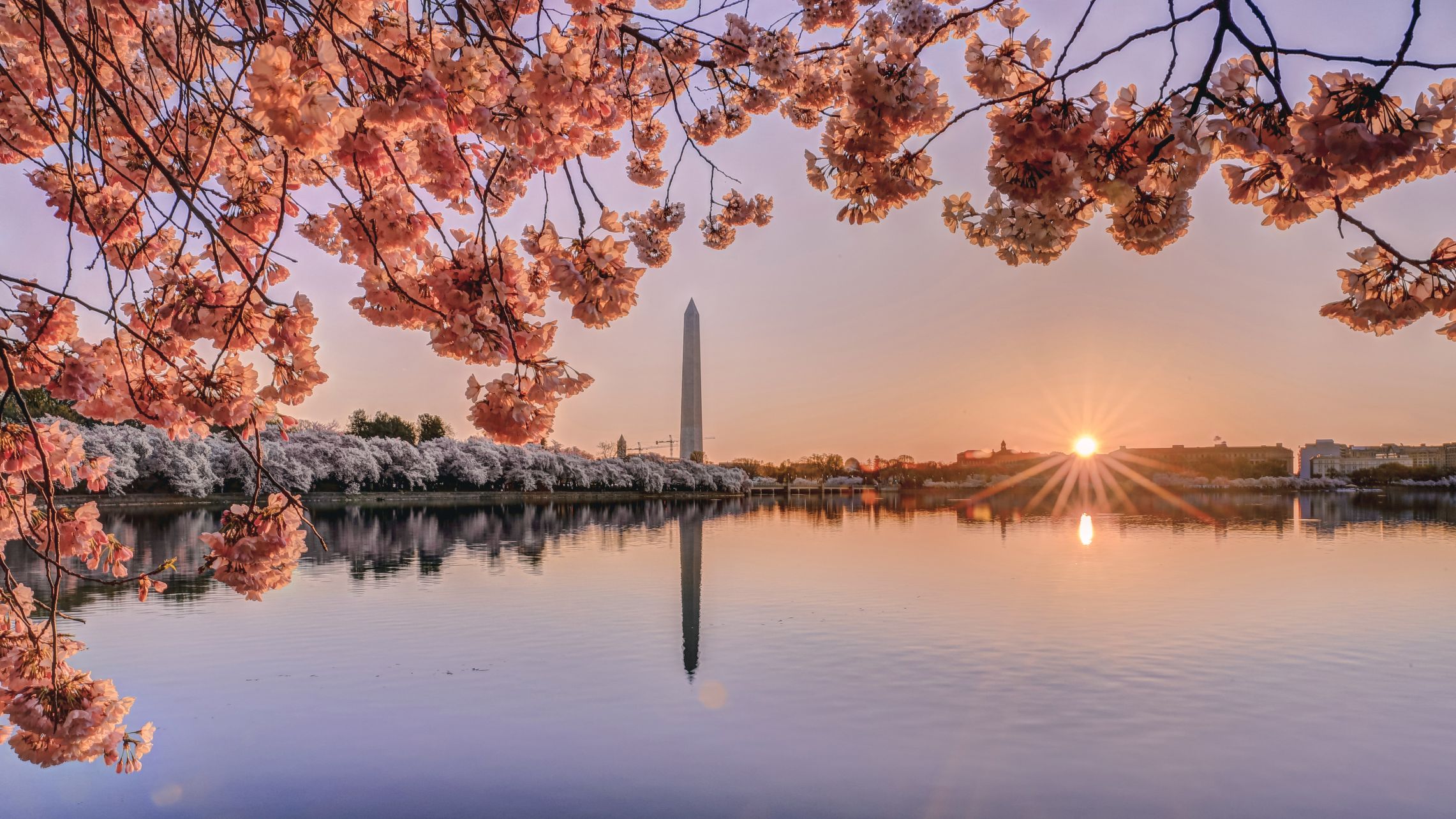 As the All Blacks hit town, start dreaming of Washington,DC