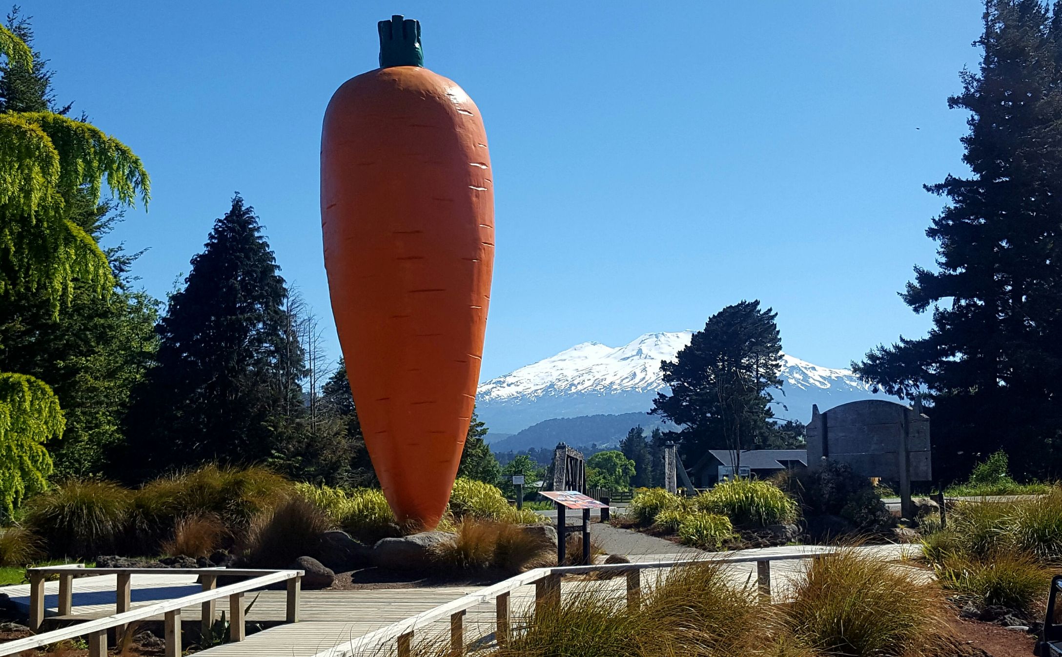 Ohakune’s spirit of adventure