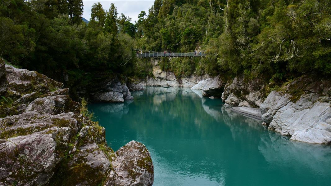 Hokitika’s Call of the Wild