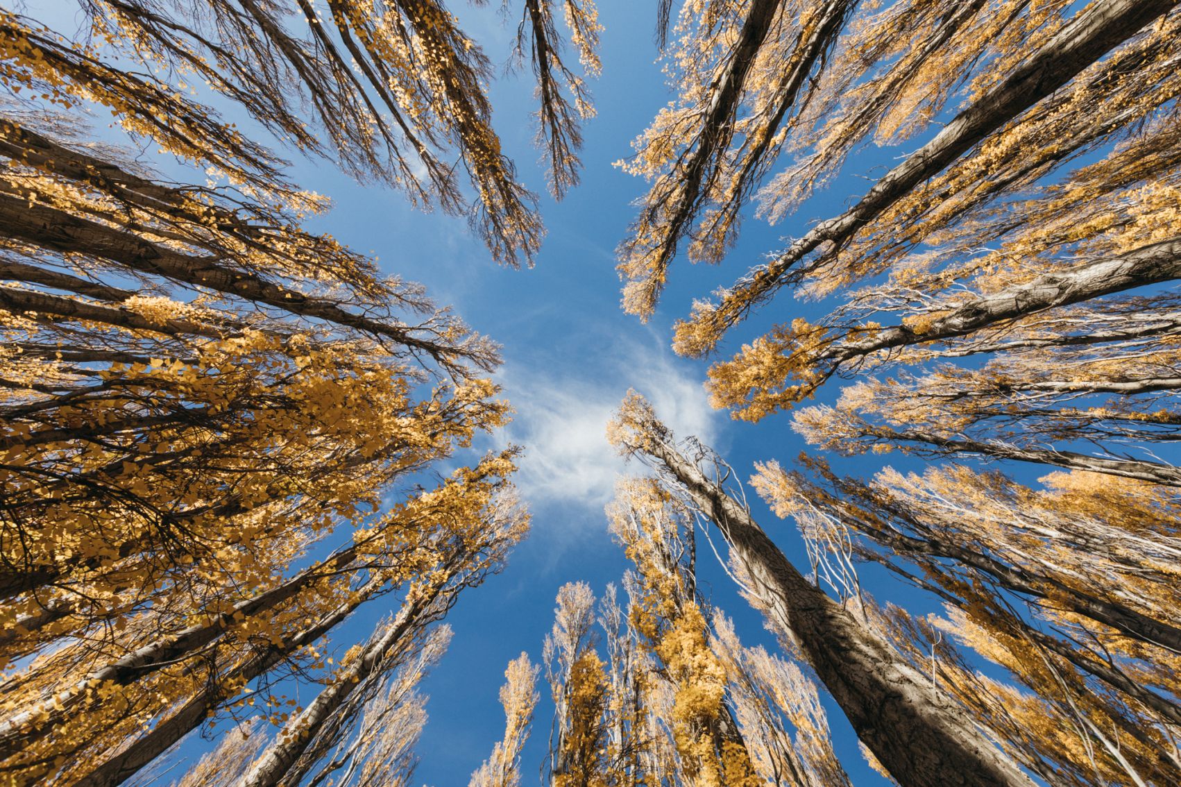 Autumn indulgence in Wānaka  