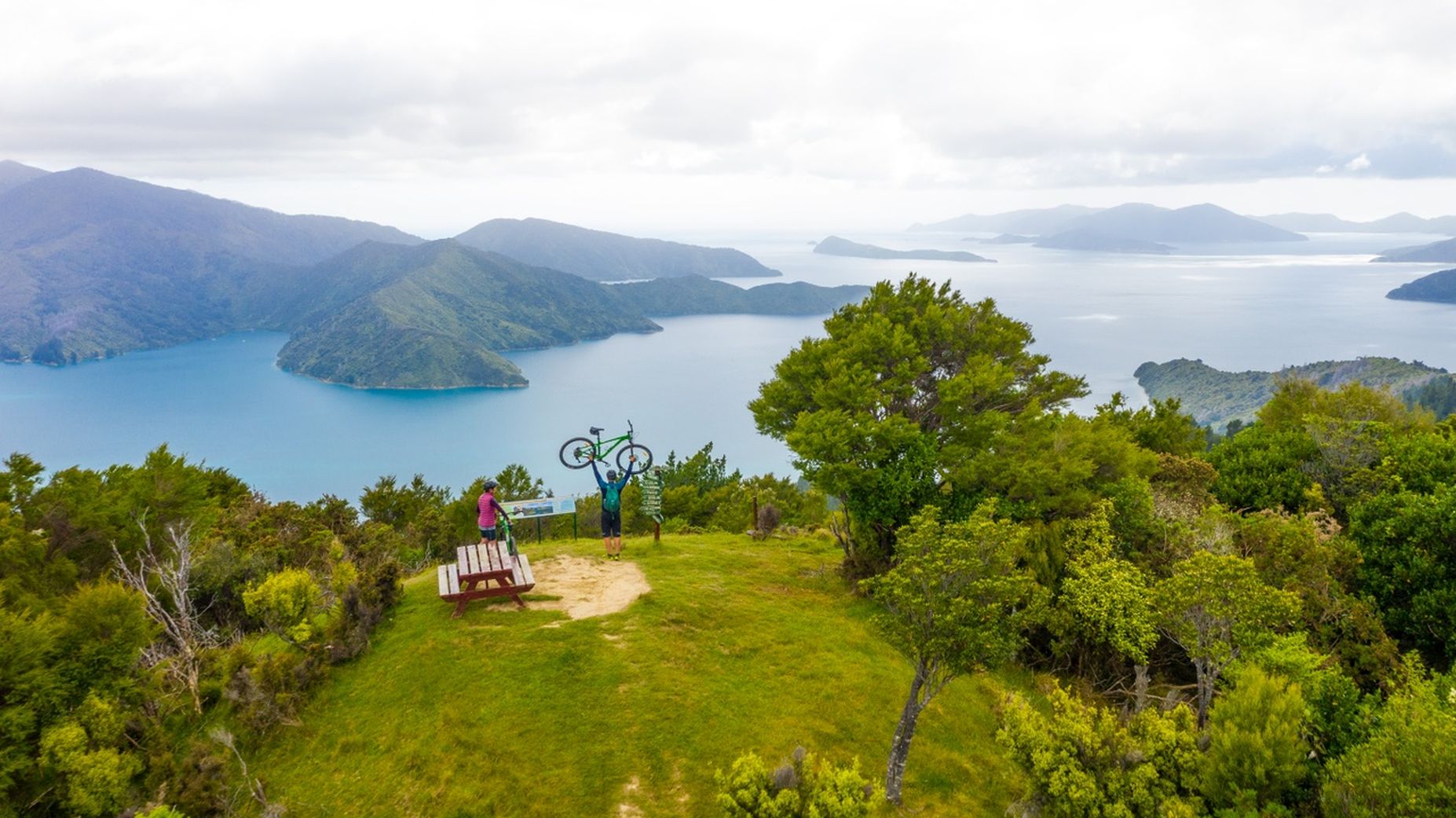 Serene encounters in Queen Charlotte Sound