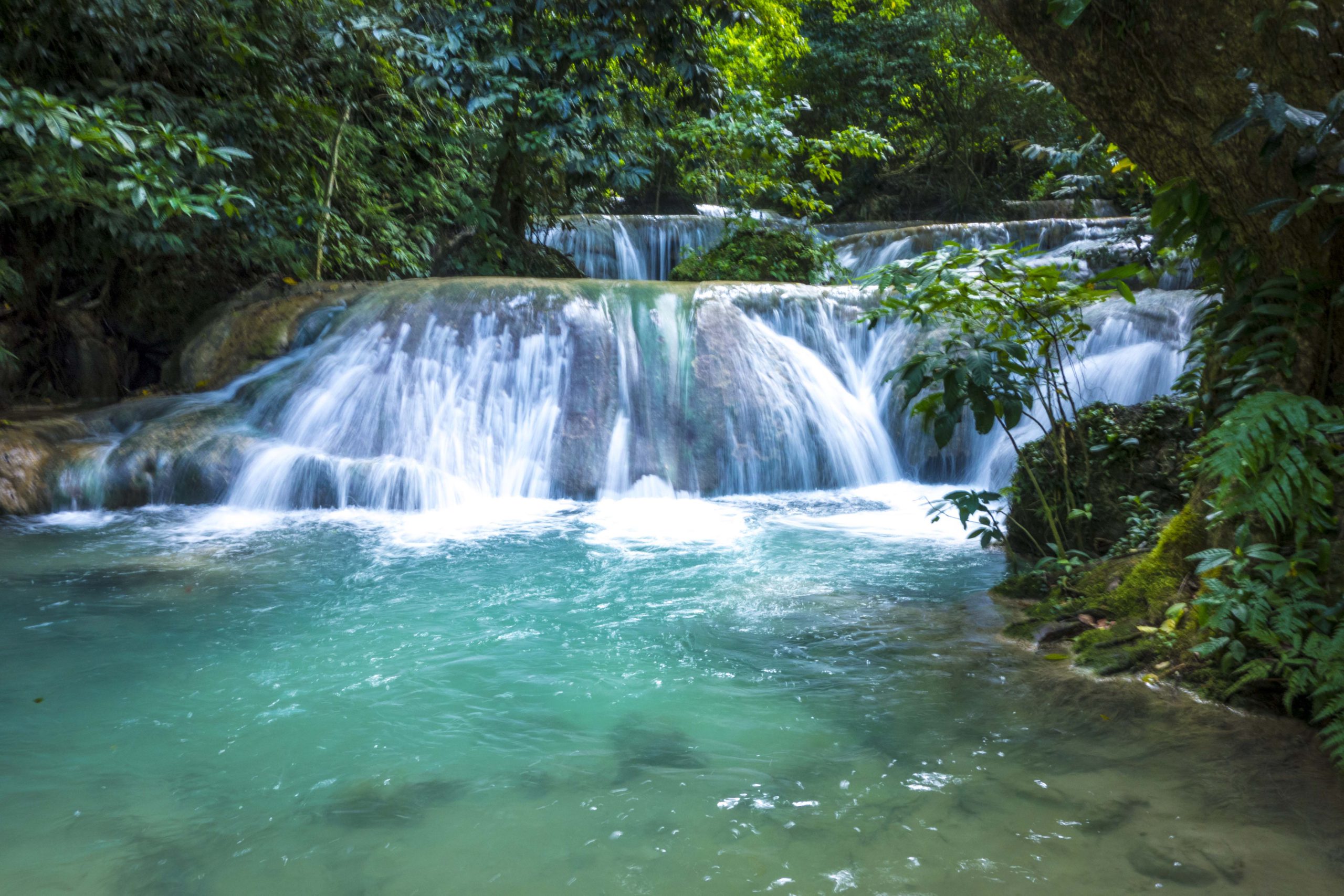 Tantalizing tastes of Port Vila