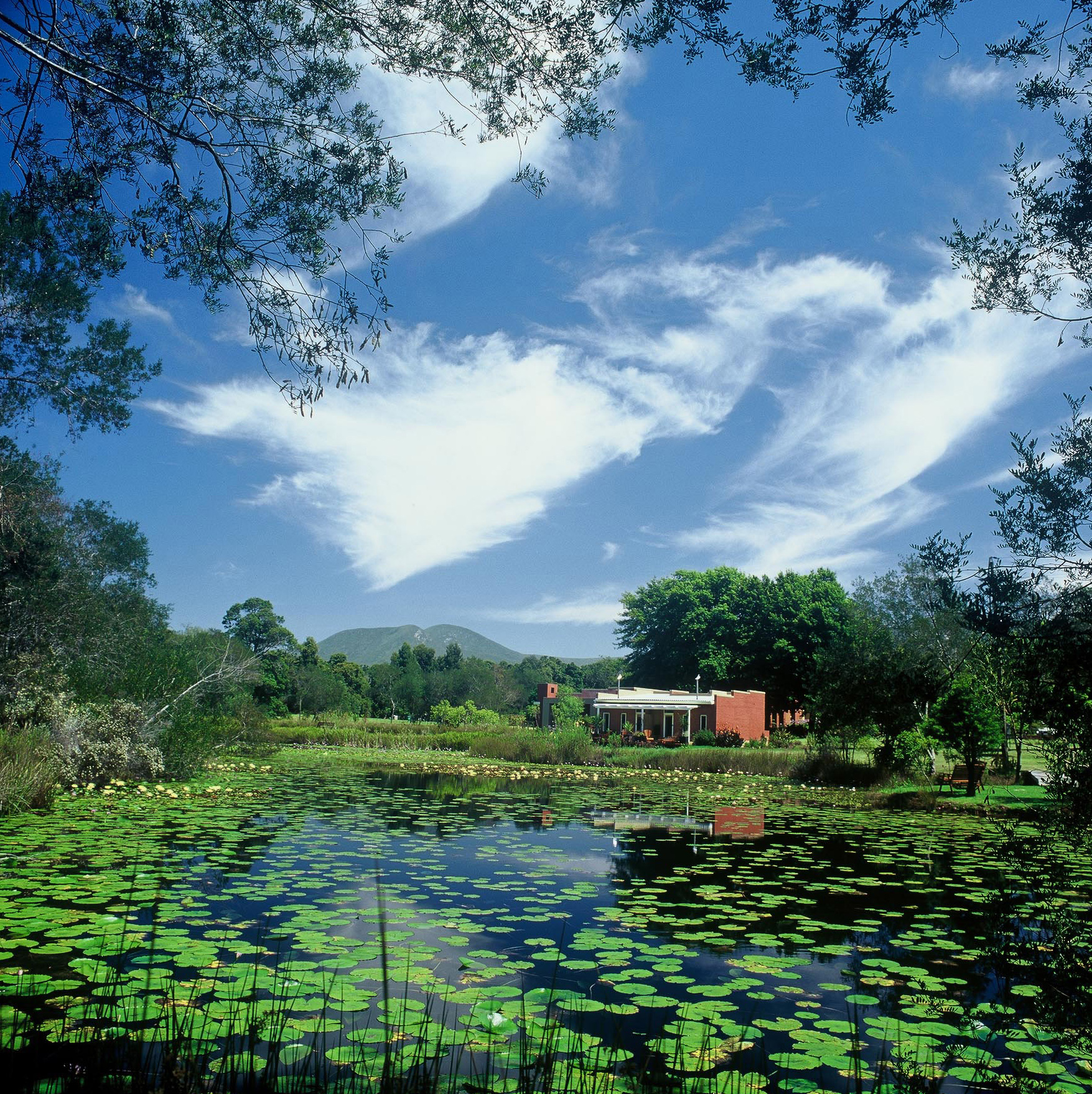 Coasting along South Africa’s Garden Route