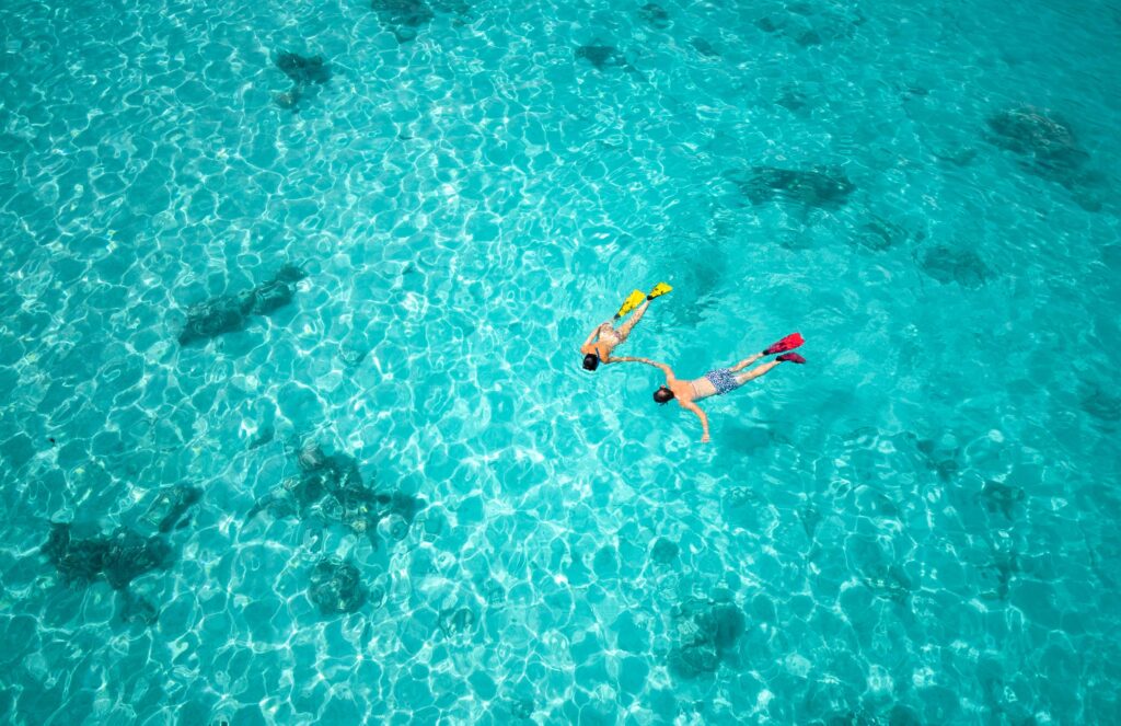 Snorkeling in the lagoons of Bora Bora